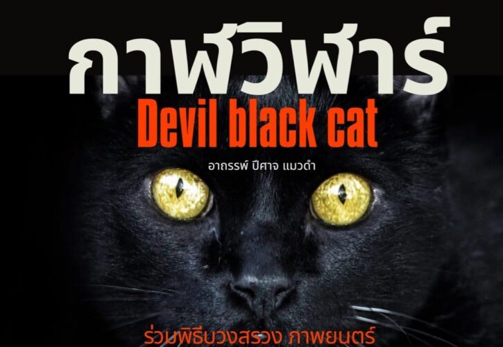 อินดี้ แอนน่า นำแสดงภาพยนตร์สยองขวัญ “กาฬวิฬาร์ อาถรรพ์ปีศาจแมวดำ” บทประพันธ์ – บทภาพยนตร์โดย ธรากร